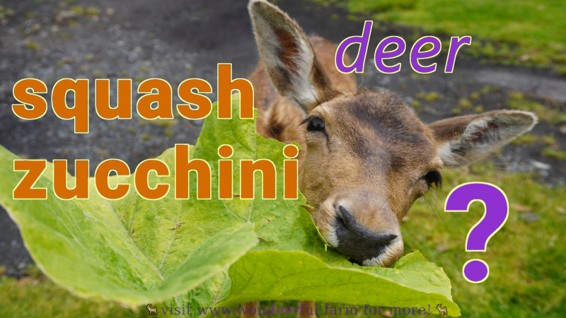 will deer eat squash foliage