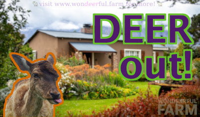 How to keep deer out of your garden (Good & Bad ideas, With & without a Fence)